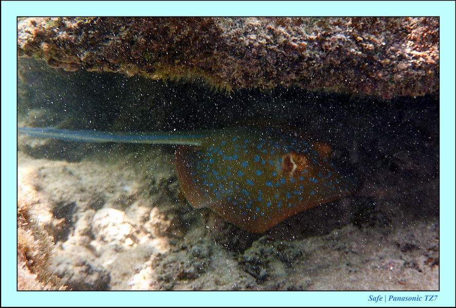 2011 - 08 - Redang 13